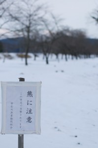 熊に注意