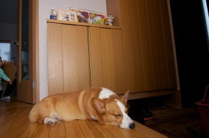 玄関でまってる
