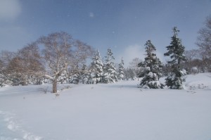 このまえ