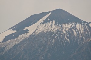 009