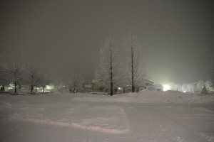 DSC_1230