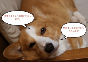 名称未設定