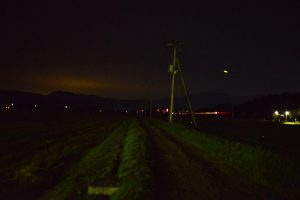 DSC_3137 (2)